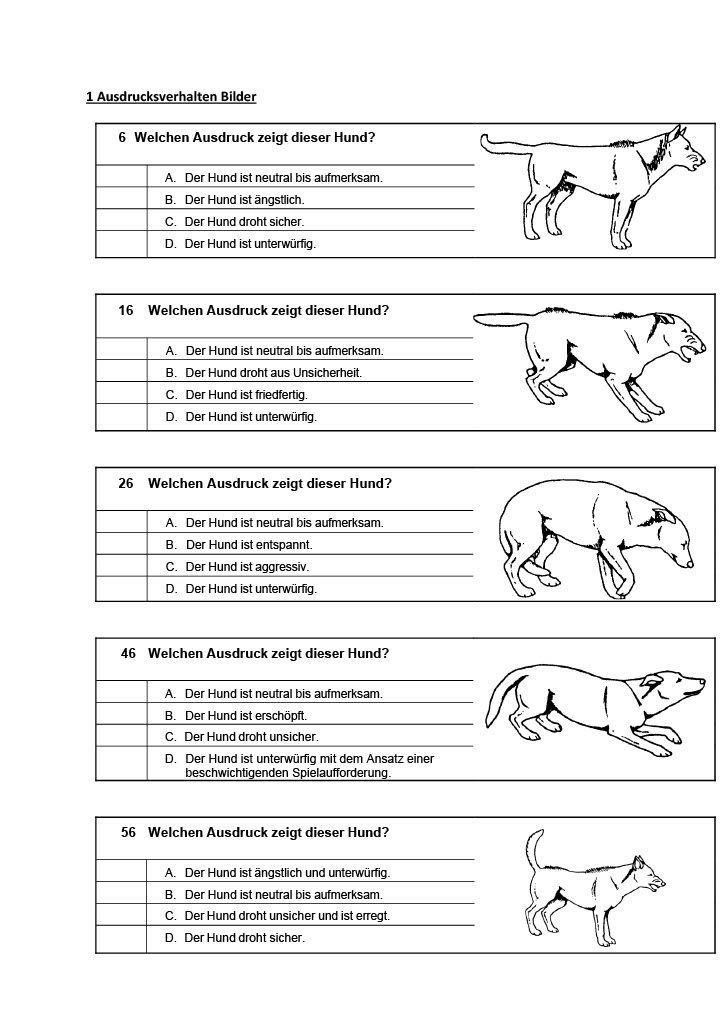 1753101598627 c9f4f455 9574 4363 8106 185f4c165912 1